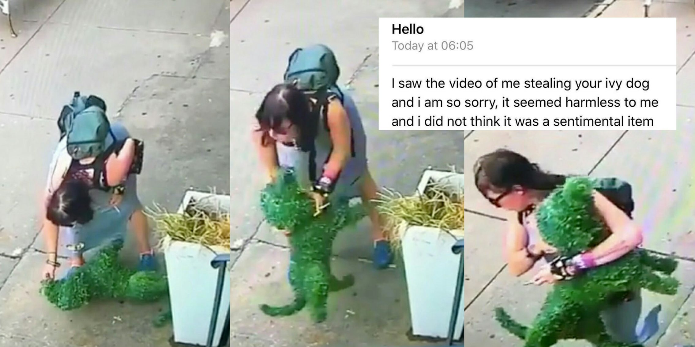 Woman steals a topiary dog from a Brooklyn bakery then apologizes via email.