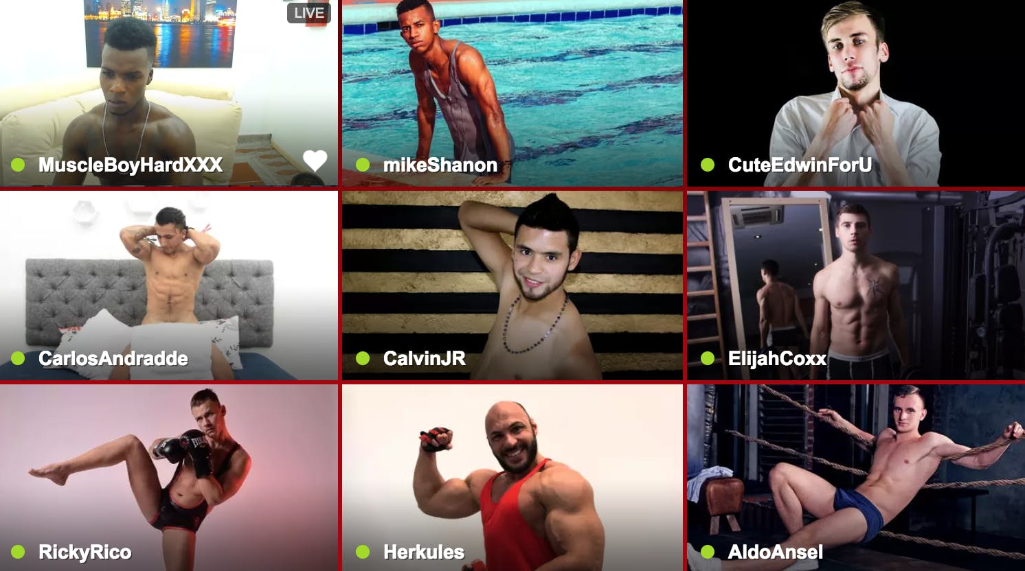 gay webcams : livejasmin