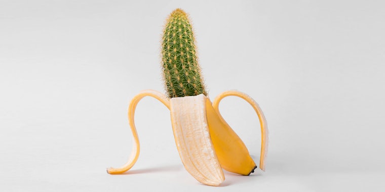 banana with cactus