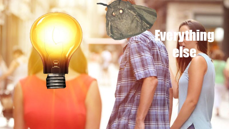 moth meme