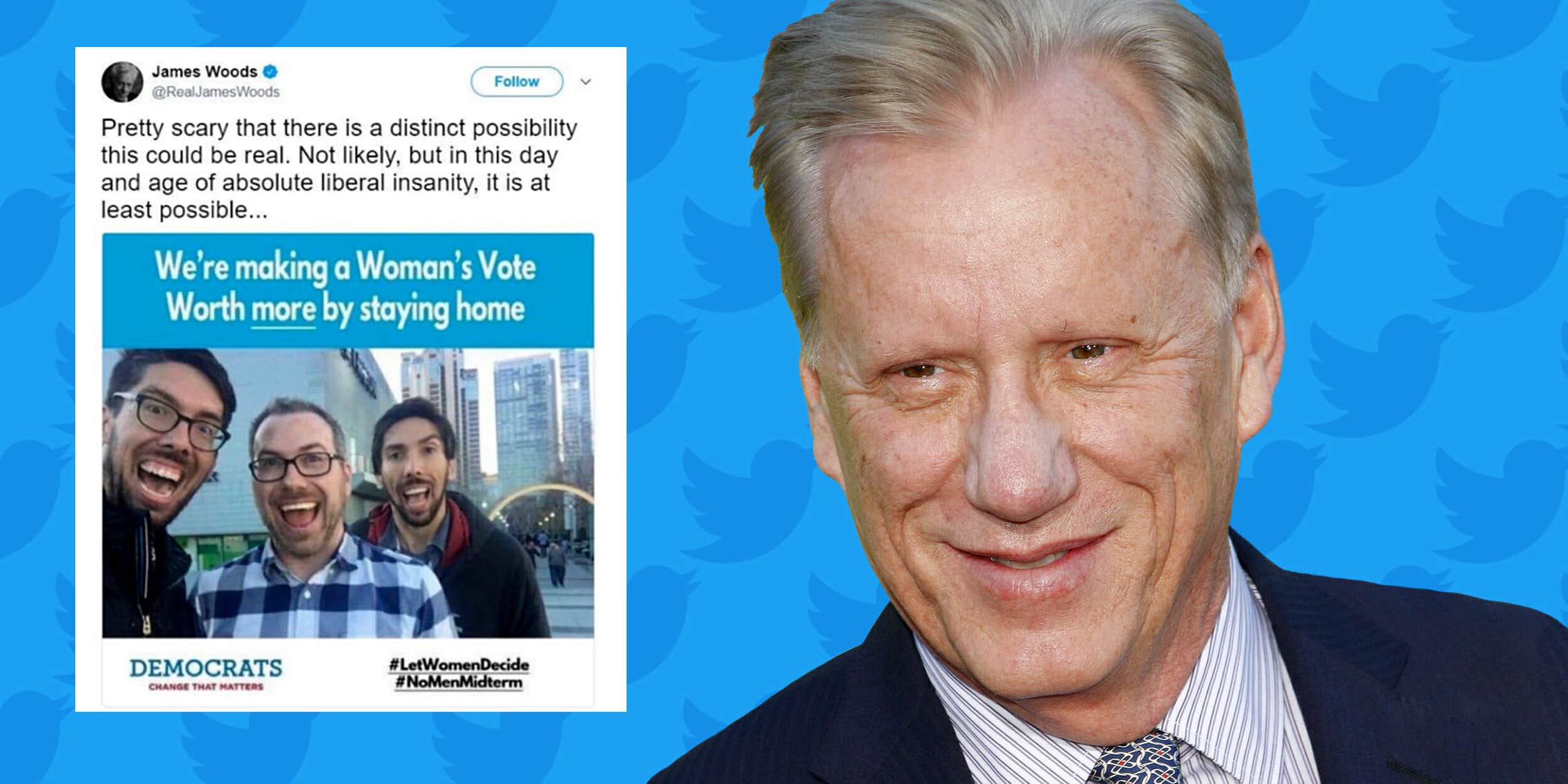 James Woods Briefly Suspended From Twitter For Posting 4chan Hoax James woods briefly suspended from twitter for posting 4chan hoax