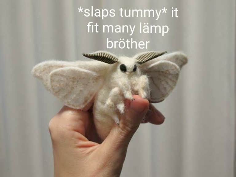 Moth Memes Are Taking Over The Internet Here Are The Best Ones Moth Memes Are Taking Over The Internet Here Are The Best Ones