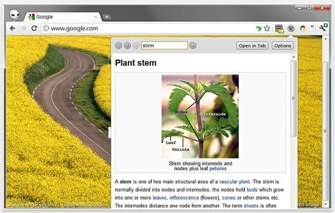 best google chrome extensions : lookup companion for wikipedia