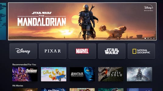 roku channels include Disney plus, shown here streaming the Mandalorian
