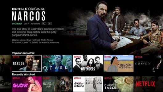 The homepage of Netflix, one of many roku channels available
