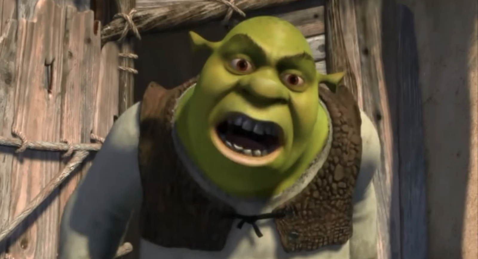 shrek what are you doing swamp