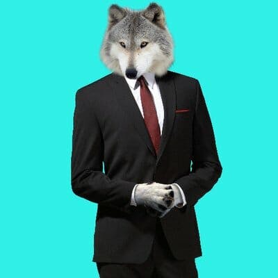 wolf twitter avatar