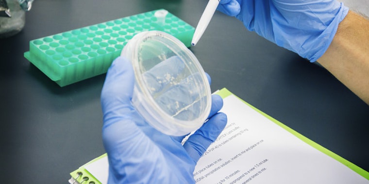 science research petri dish