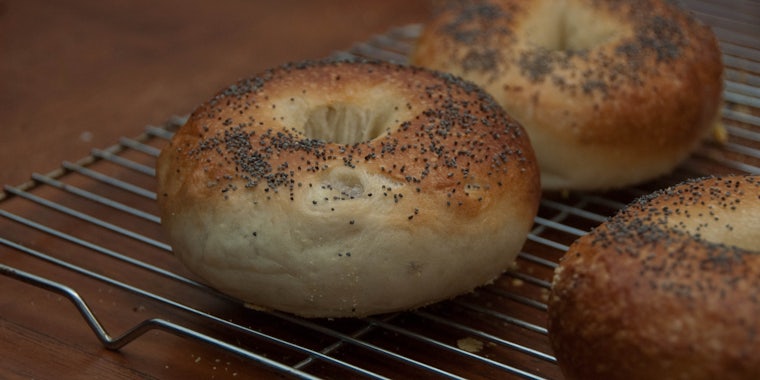 New Yorkers are obsessed with bagels, and Apple is fueling that obsession with a bagel emoji redesign.