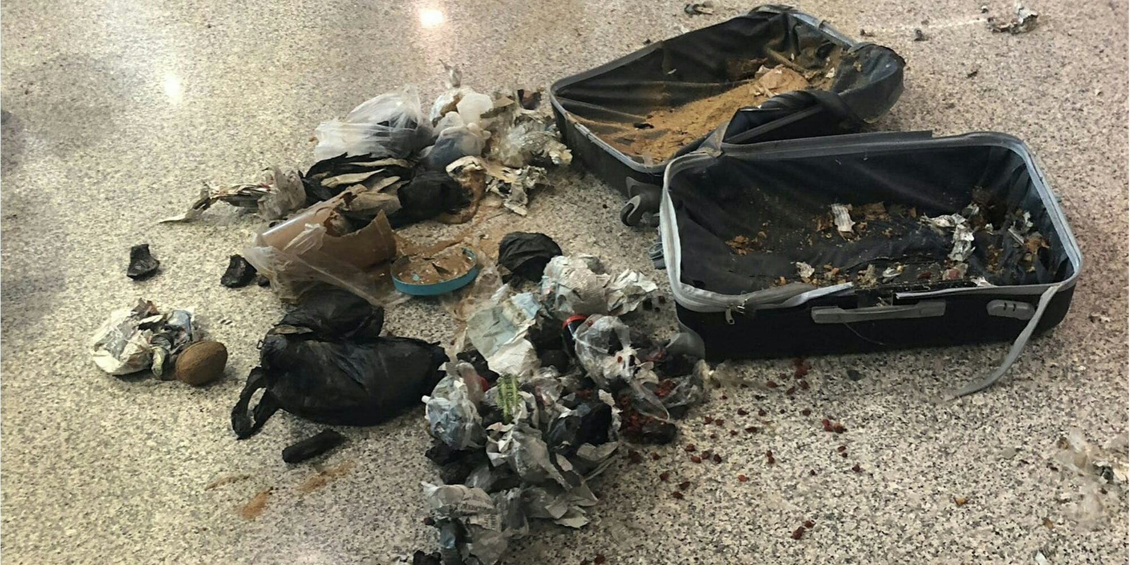 Italian police exploded a bag filled with coconuts at an airport in Rome.