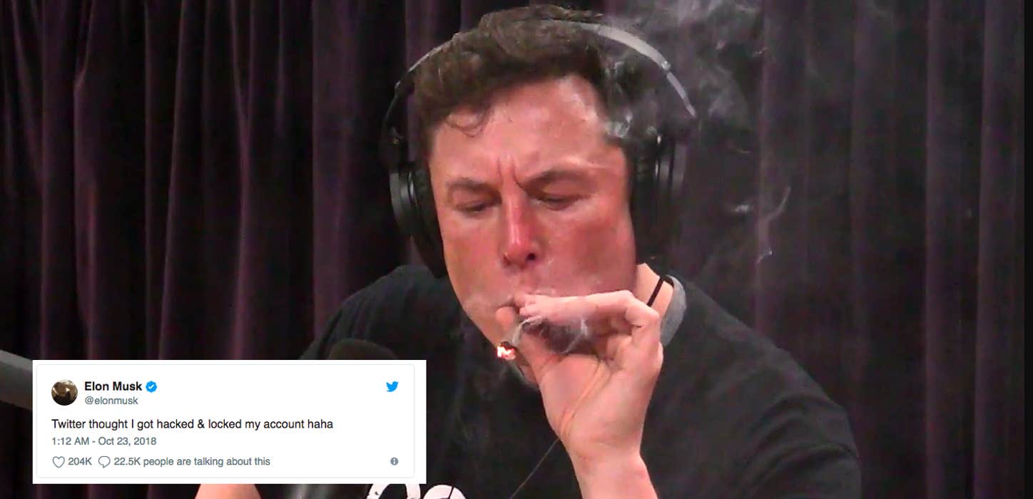 Elon Musk's Love of Anime Got Him Locked Out of Twitter