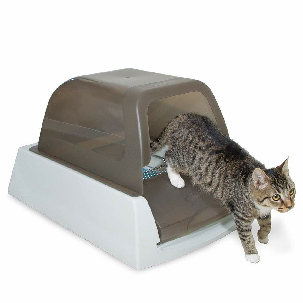 automatic litter box