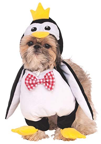 dog costume penguin