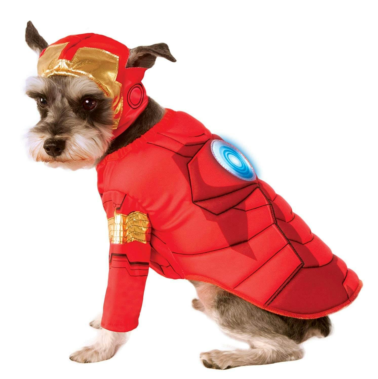 dog costume superman