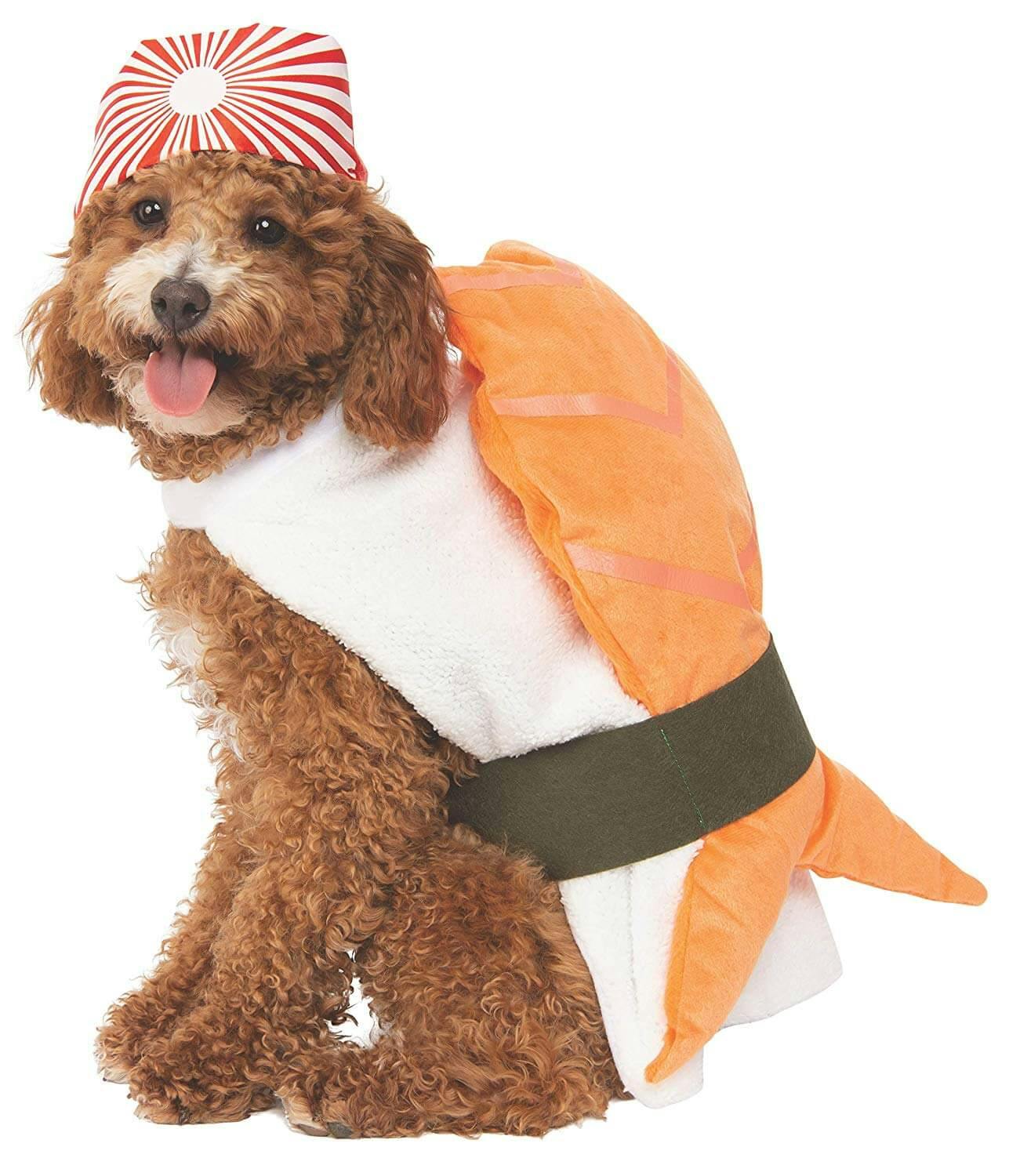 dog costume sushi