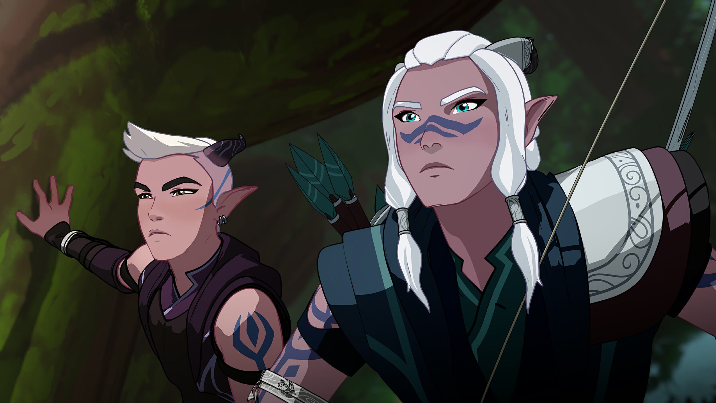 dragon prince elves