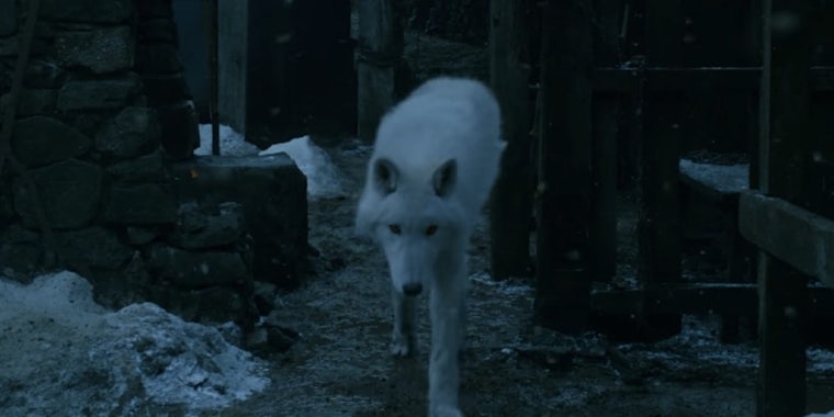 Ghost is returning in 'Game of Thrones' season 8—and fans are worried.