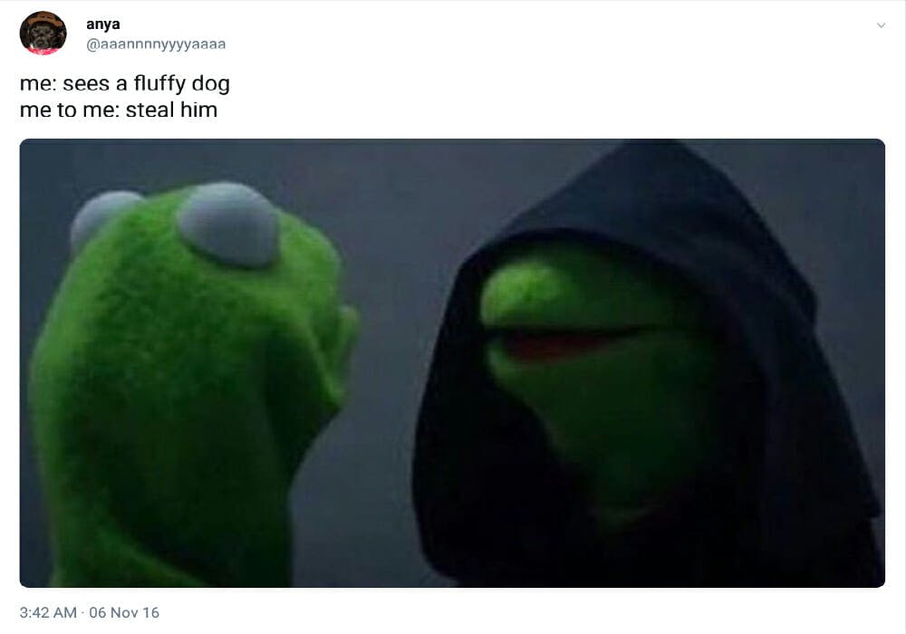 kermit meme