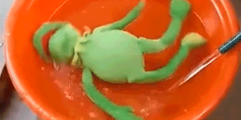 kermit floating in tub meme