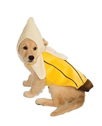 pet costume banana