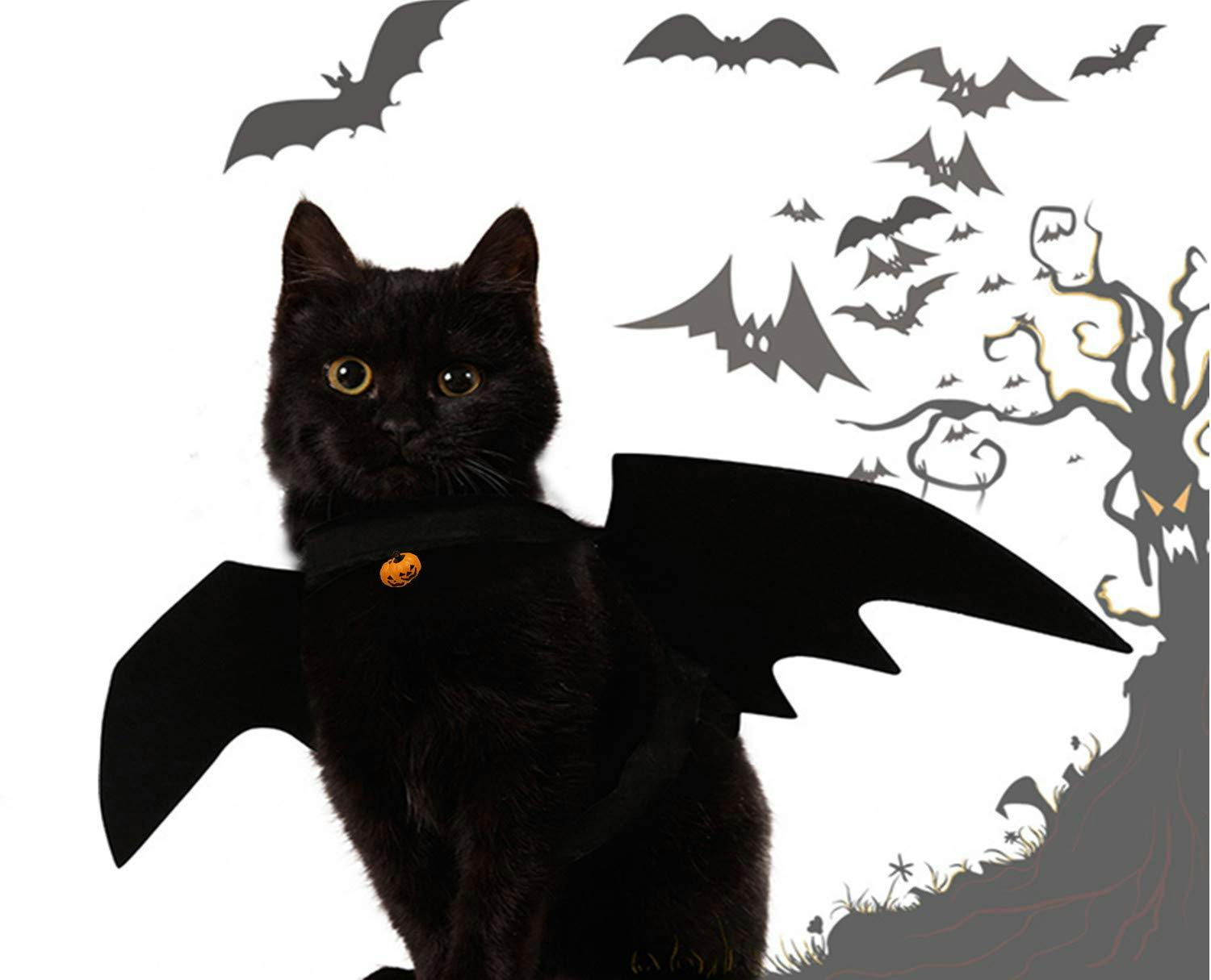 pet costume bat