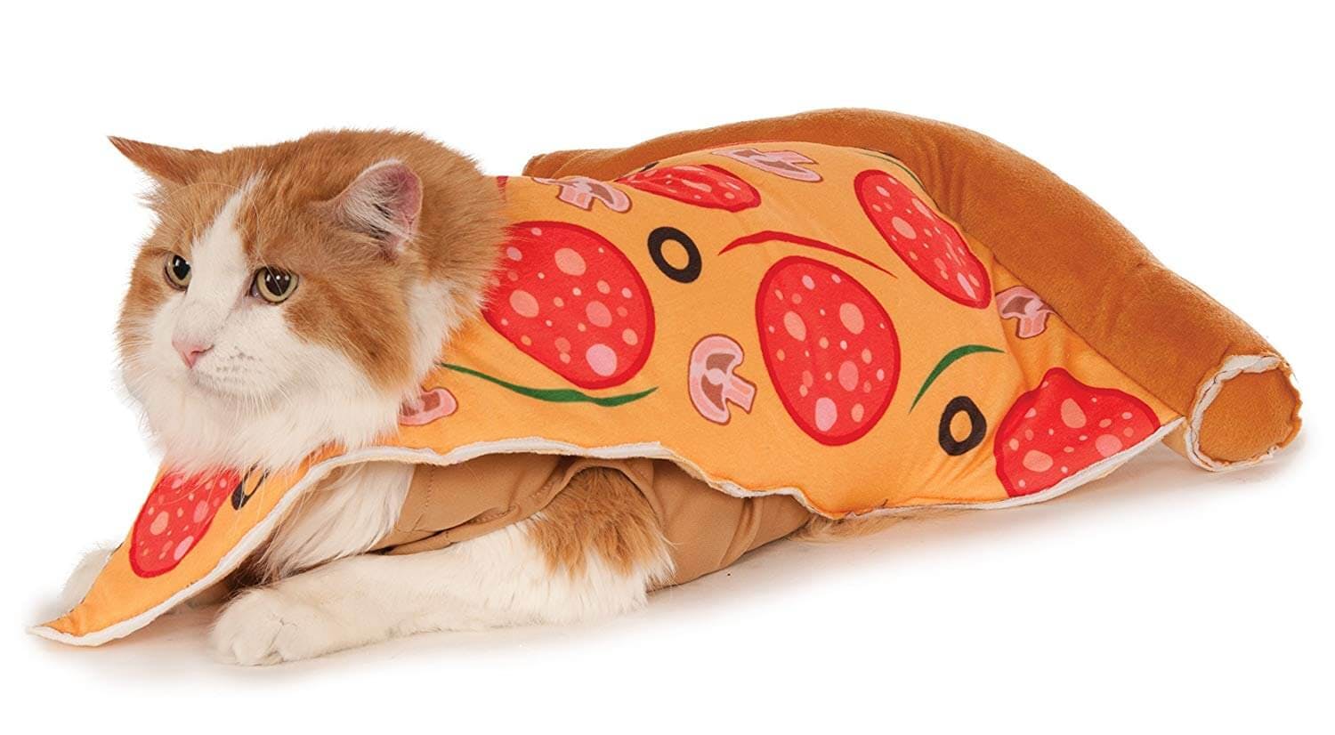 pet costume pizza