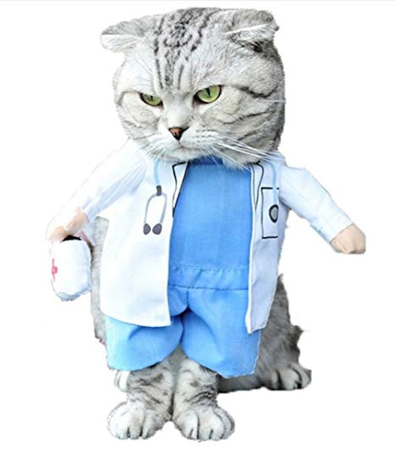 pet costumes doctor