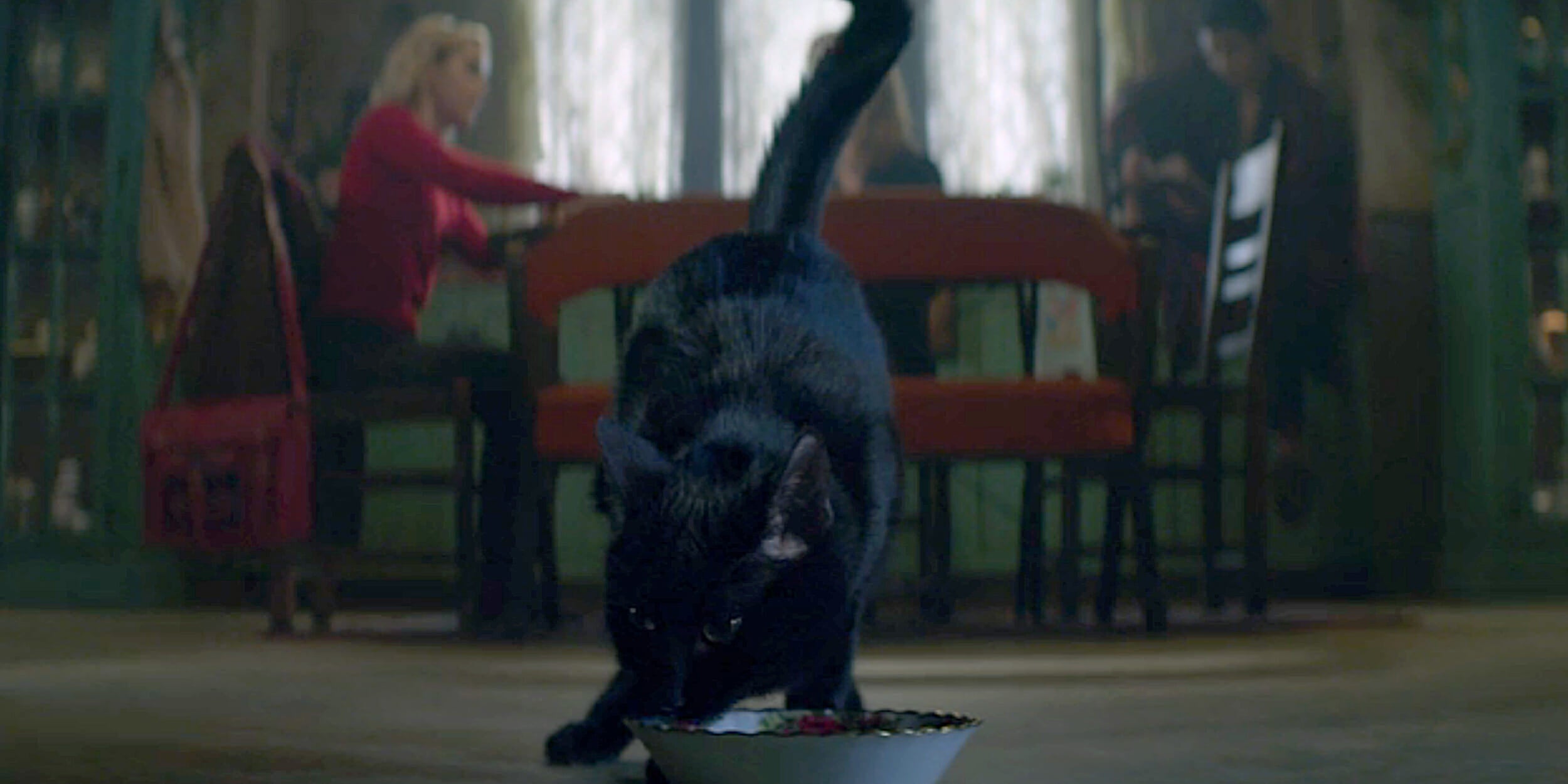 salem sabrina teenage witch