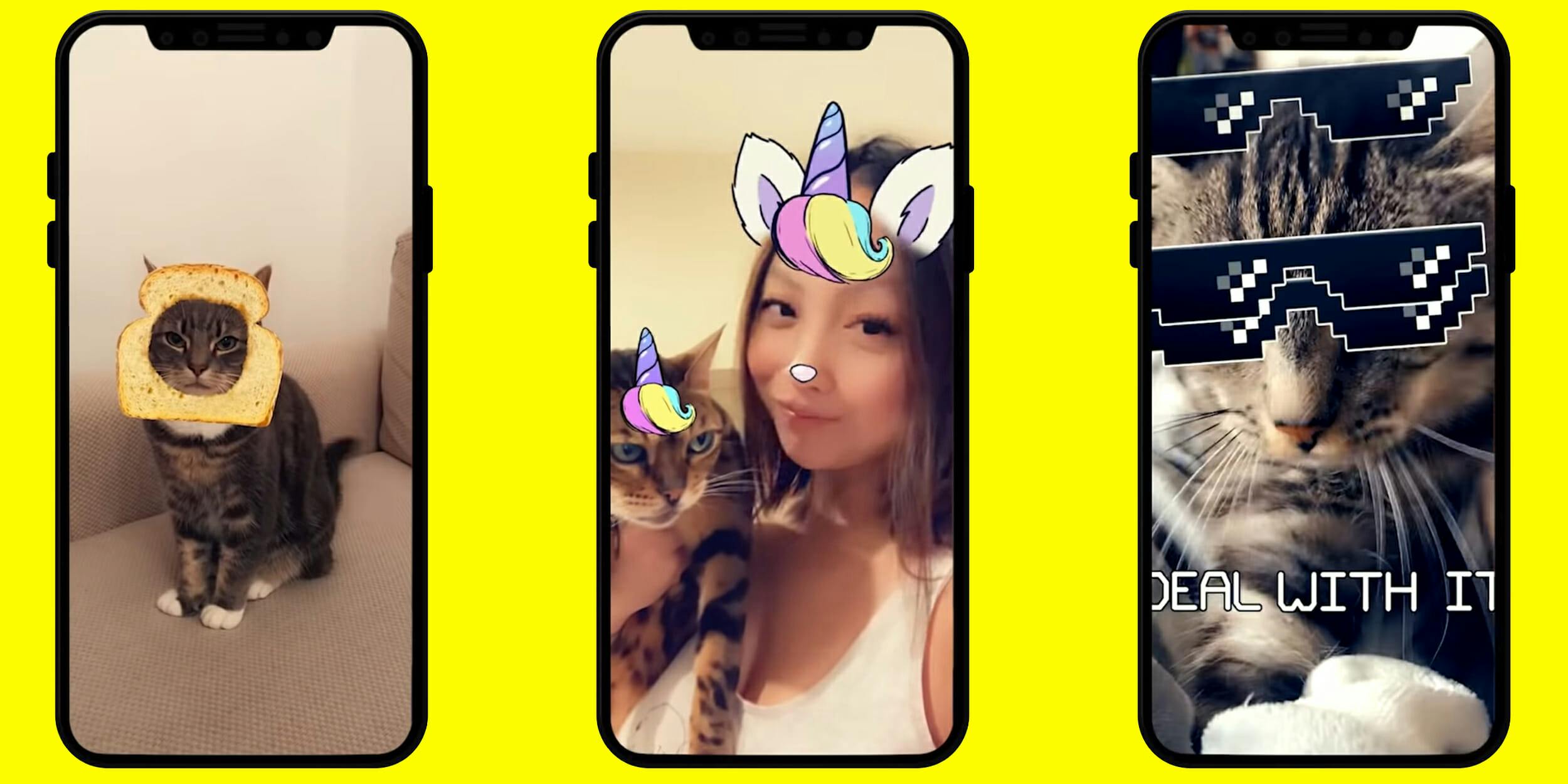 Grumpy cat Lens by Morgan - Snapchat Lenses and Filters