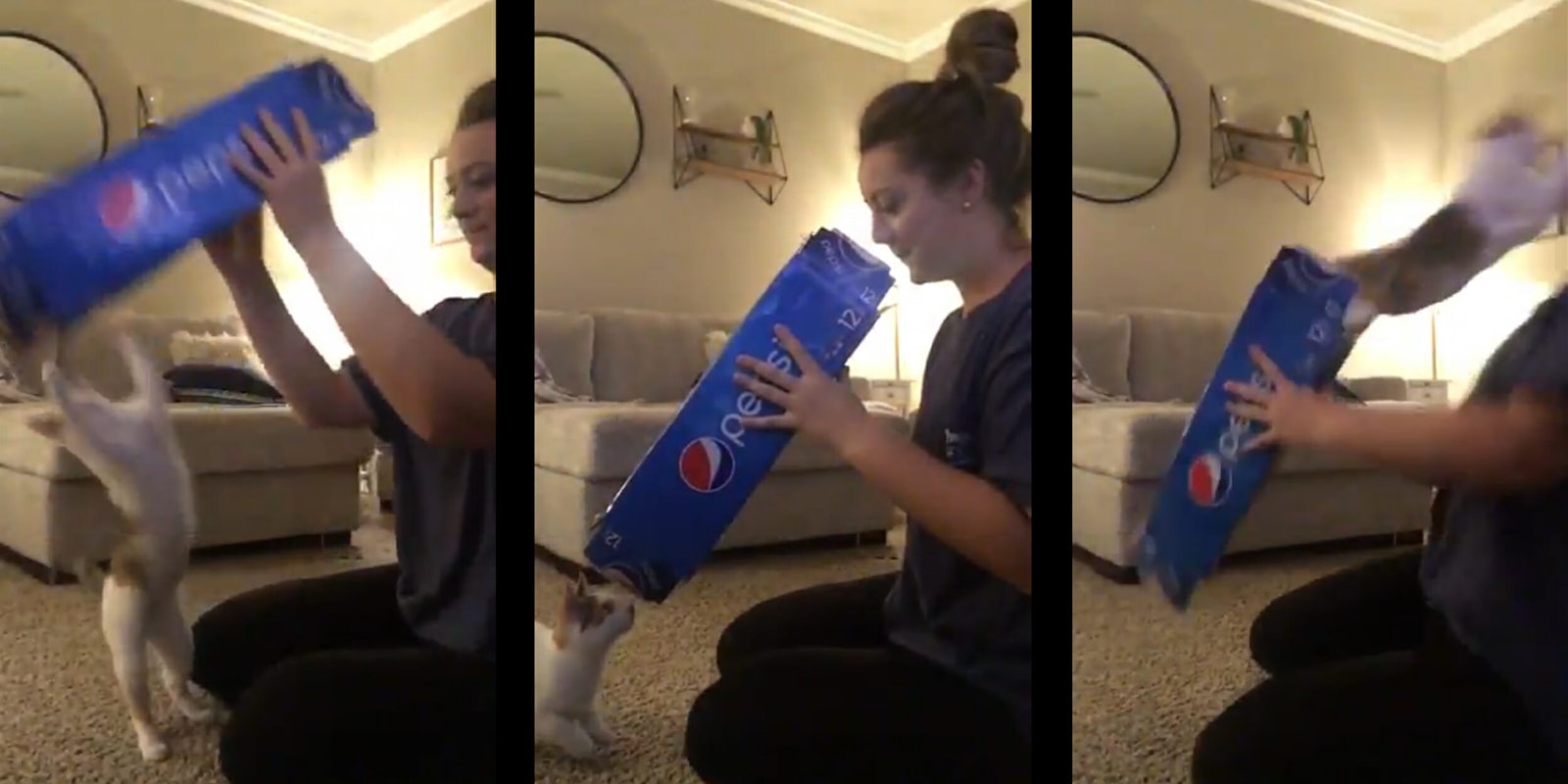 woman attacked by cat through pepsi box