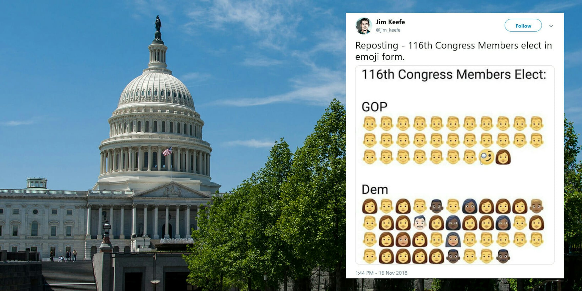 There will be more diversity in the 119th Congress after last week's midterm elections, and that fact is summed up well in an emoji-Congress meme.