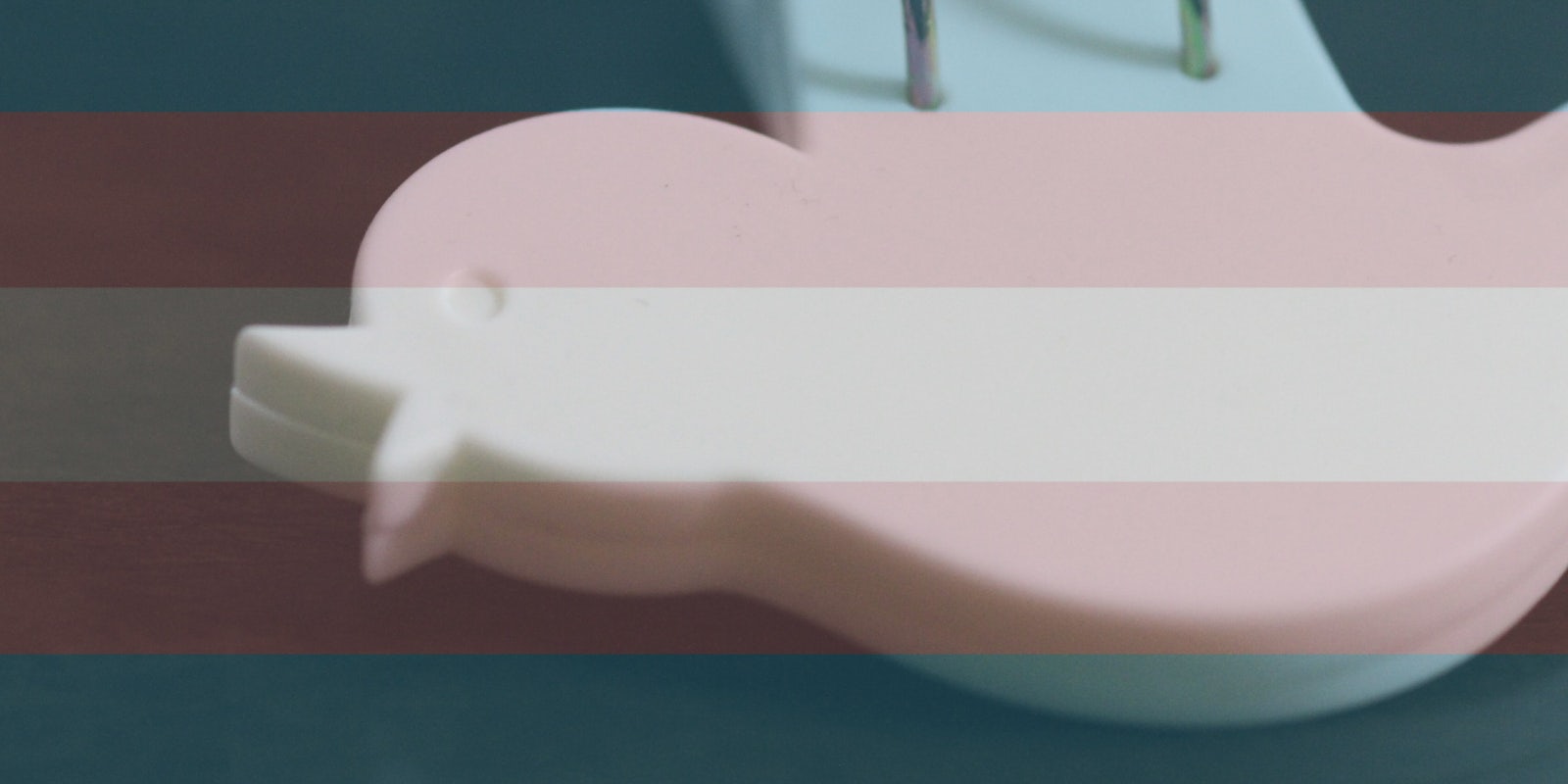 Twitter and TwitterOpen is under fire after giving users a non-apology over transphobia on the site.