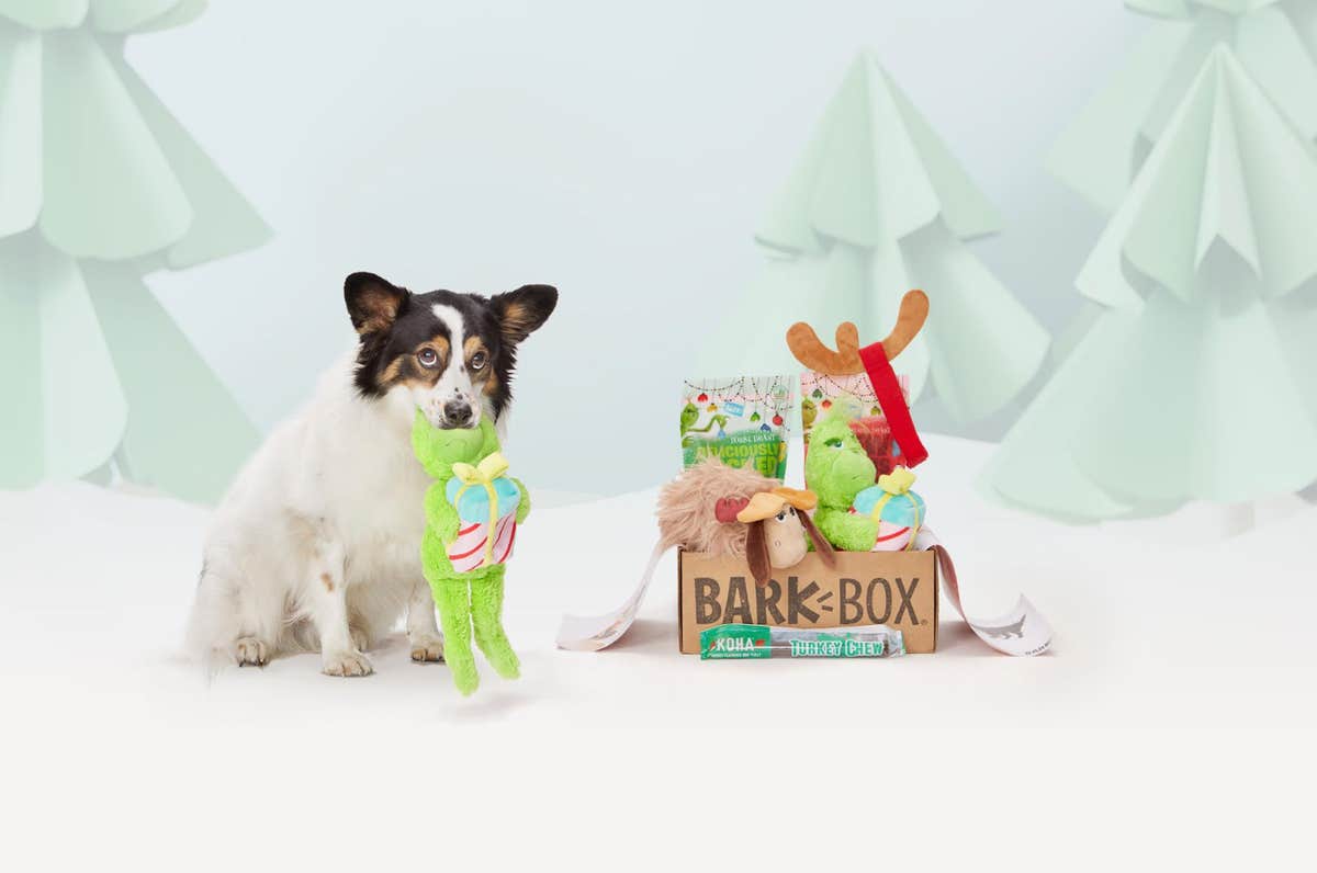 Treat the Max in your life with BarkBox’s limited edition Grinch Box