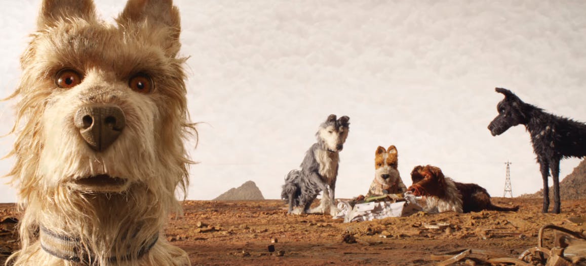 The best new movies on HBO: 2018 new releases isle of dogs