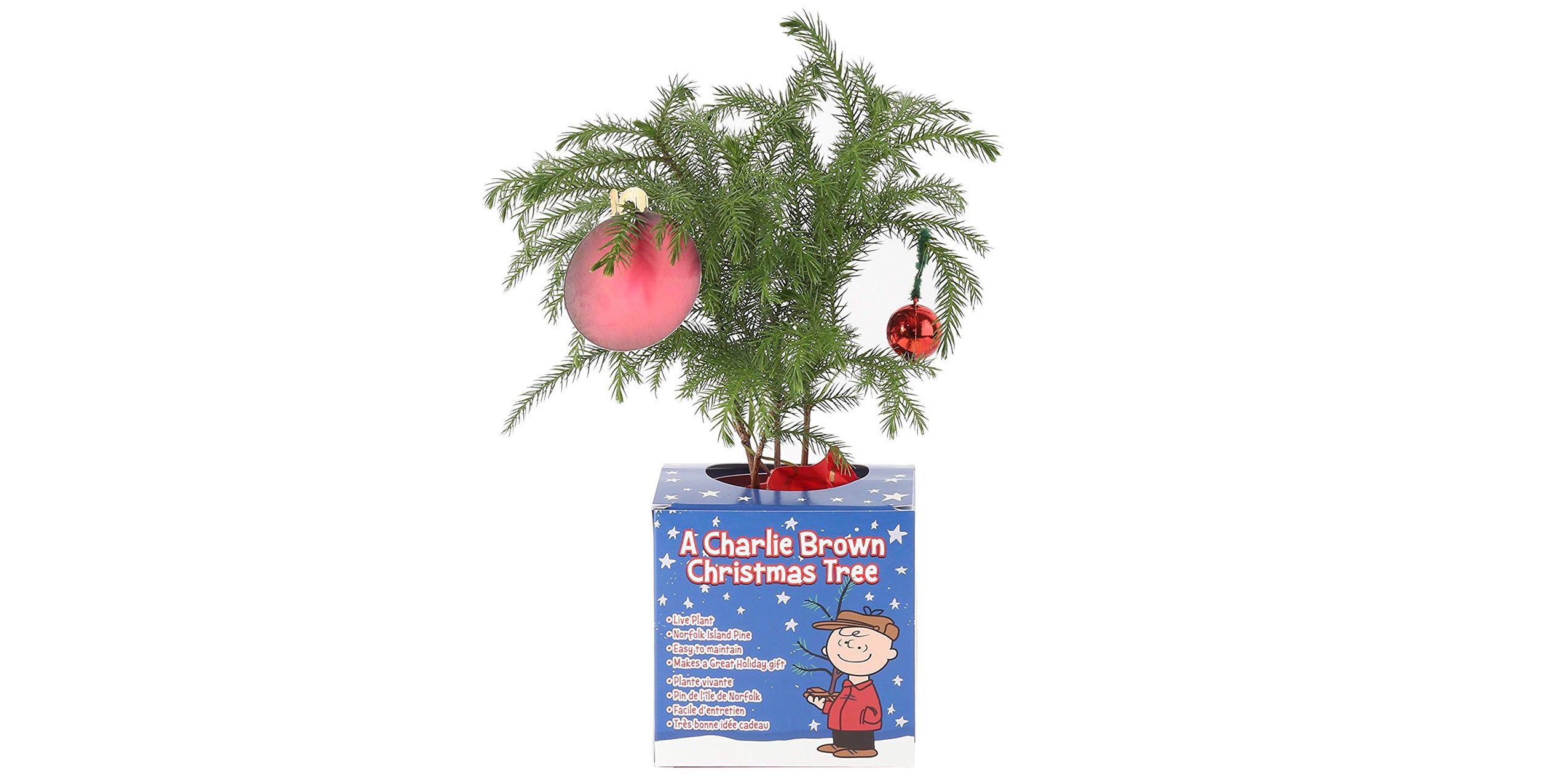 Christmas trees Charlie Brown