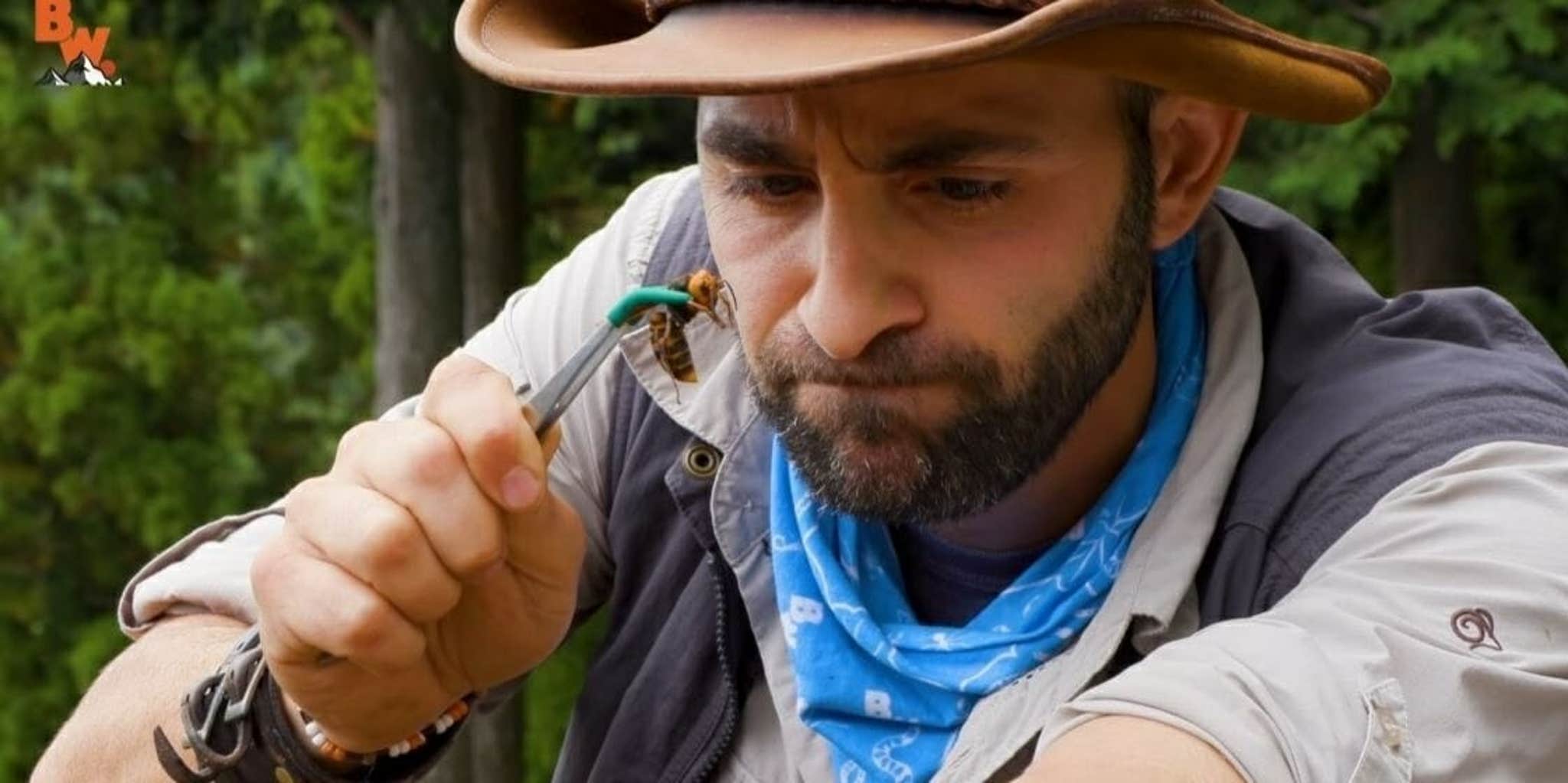 YouTuber Coyote Peterson Allows a Japanese Giant Hornet to Sting Him