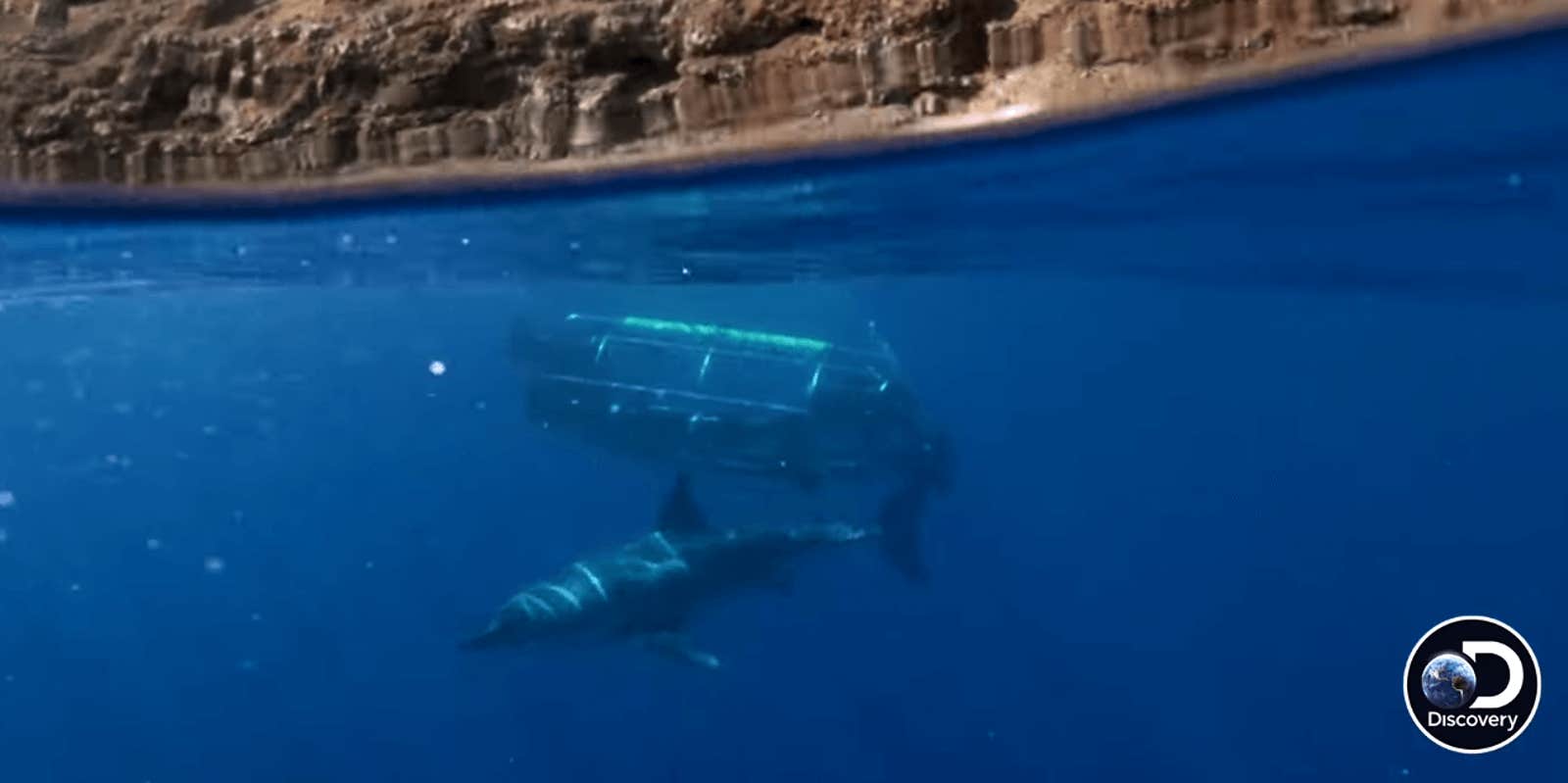 Discovery channel 2025 free live stream