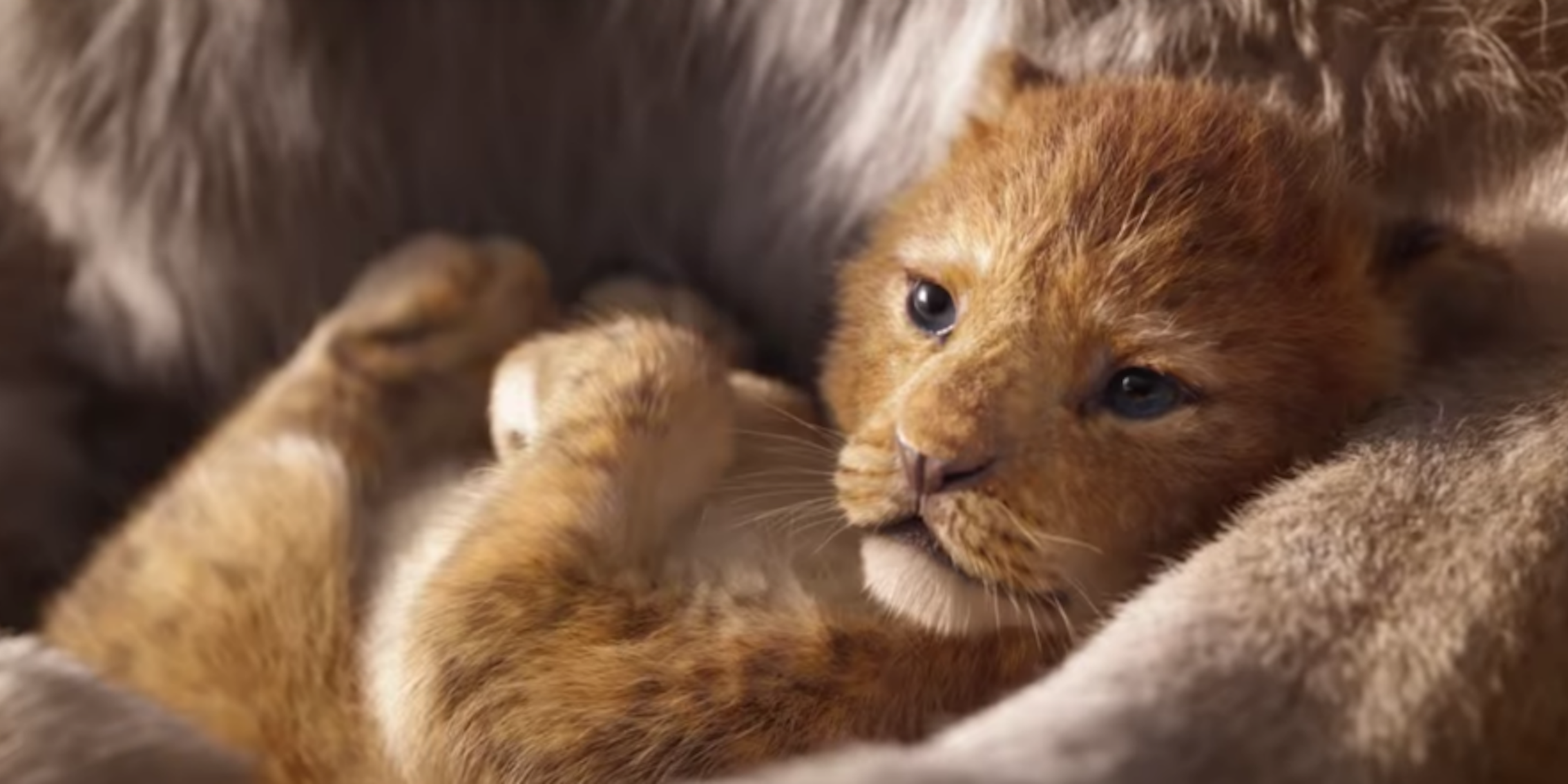 Lion King' Trailer Definitely Not Live-Action—And Fans Are Concerned