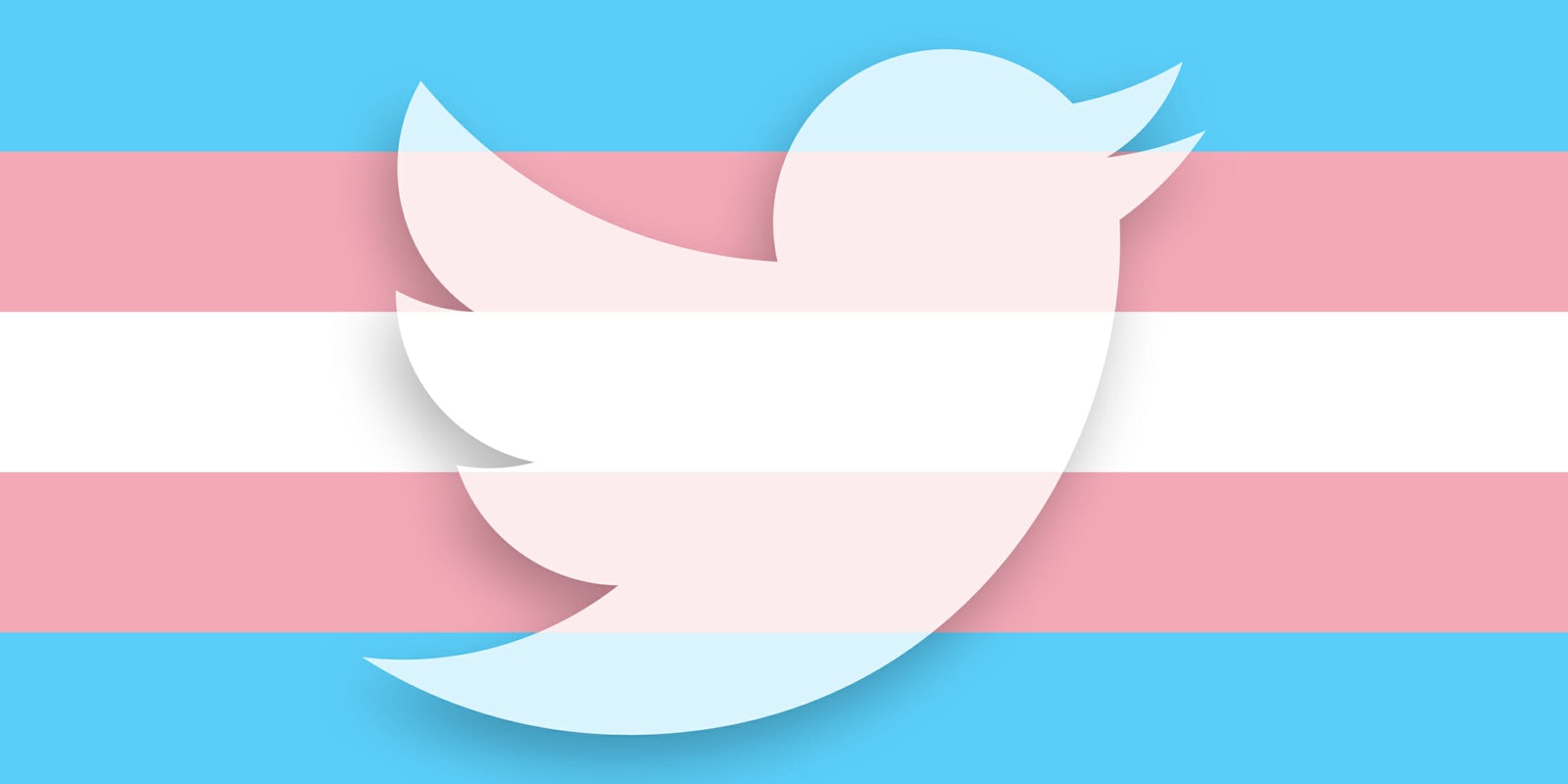 twitter transgender flag