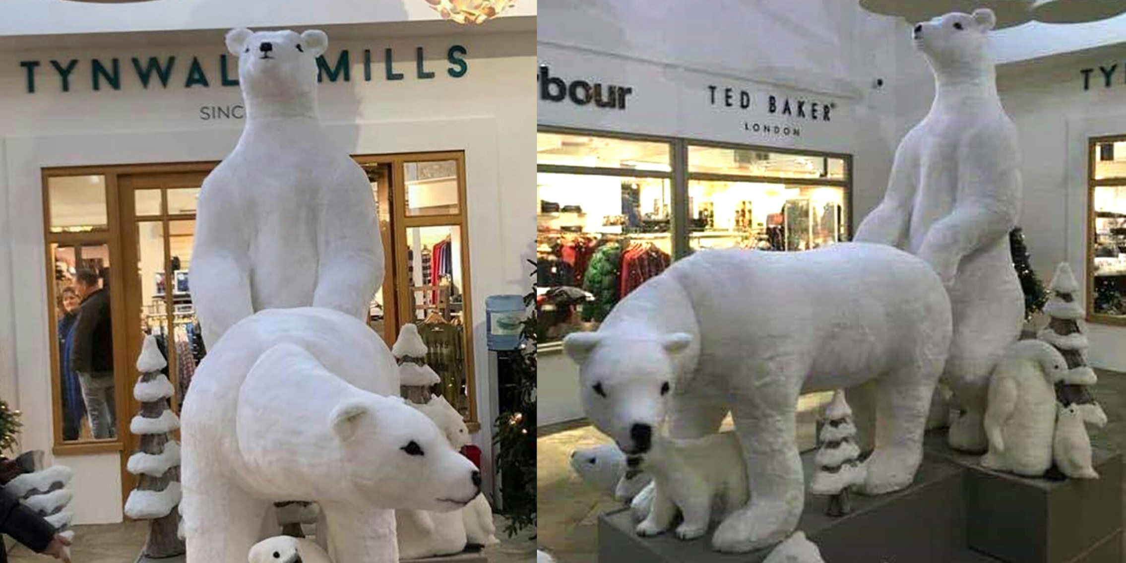 Tynwald Mills Mall Apologizes For Erotic Polar Bear Display