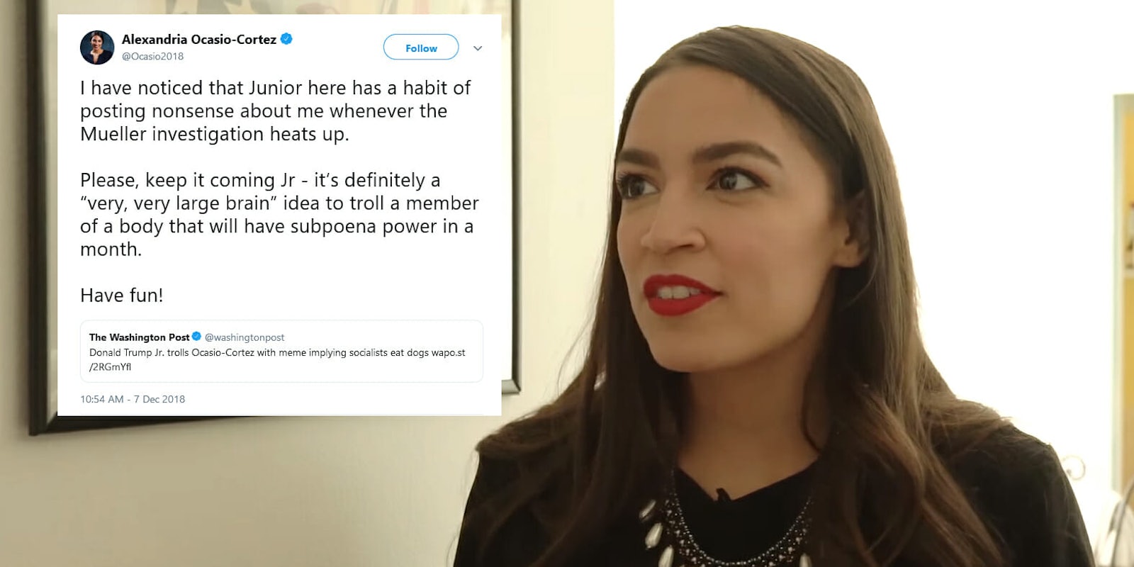 Representative-elect Alexandria Ocasio-Cortez fired back at Donald Trump Jr. hours after he posted an anti-socialism meme featuring a picture of her that implied Americans would eat dogs if they adopted that kind of economy.