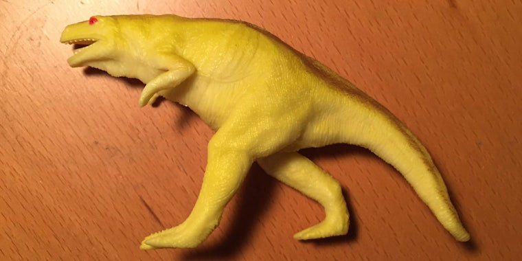 Jonny Sun's toy dinosaur trended on Twitter.