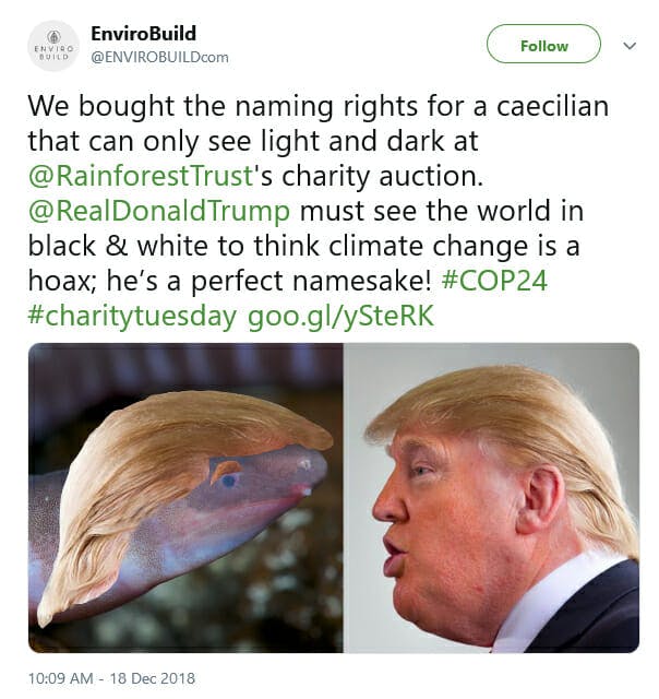 Dermophis donaldtrumpi Trump Amphibian Tweet