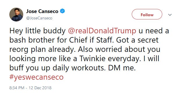 Jose Canseco Trump Chief Of Staff Tweet