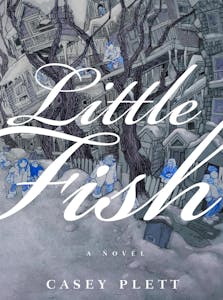Casey Plett's 'Little Fish.'