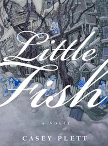 Casey Plett's 'Little Fish.'