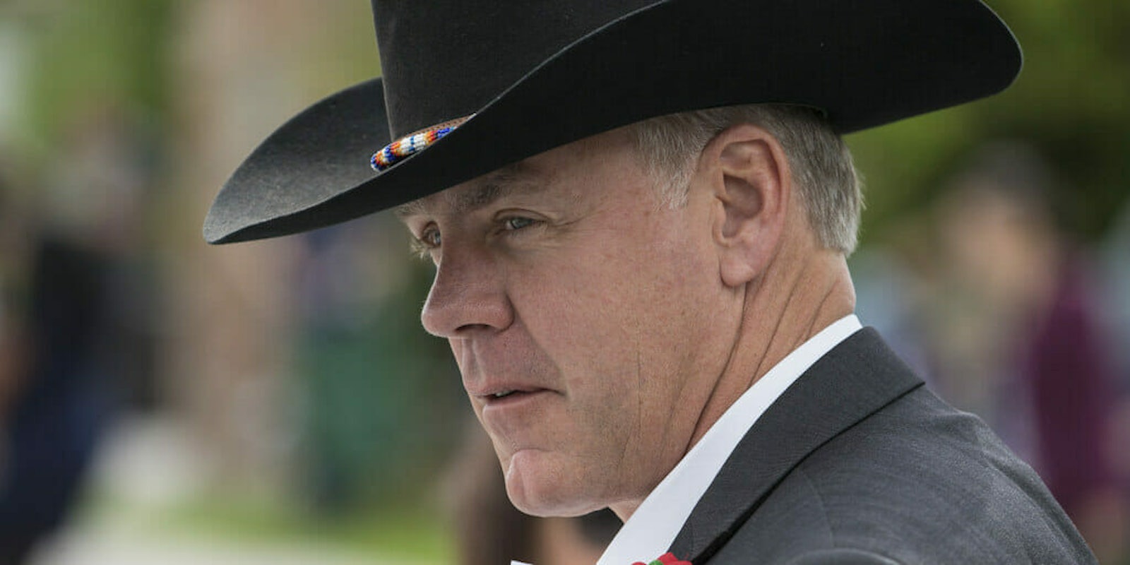 zinke interior cabinet out