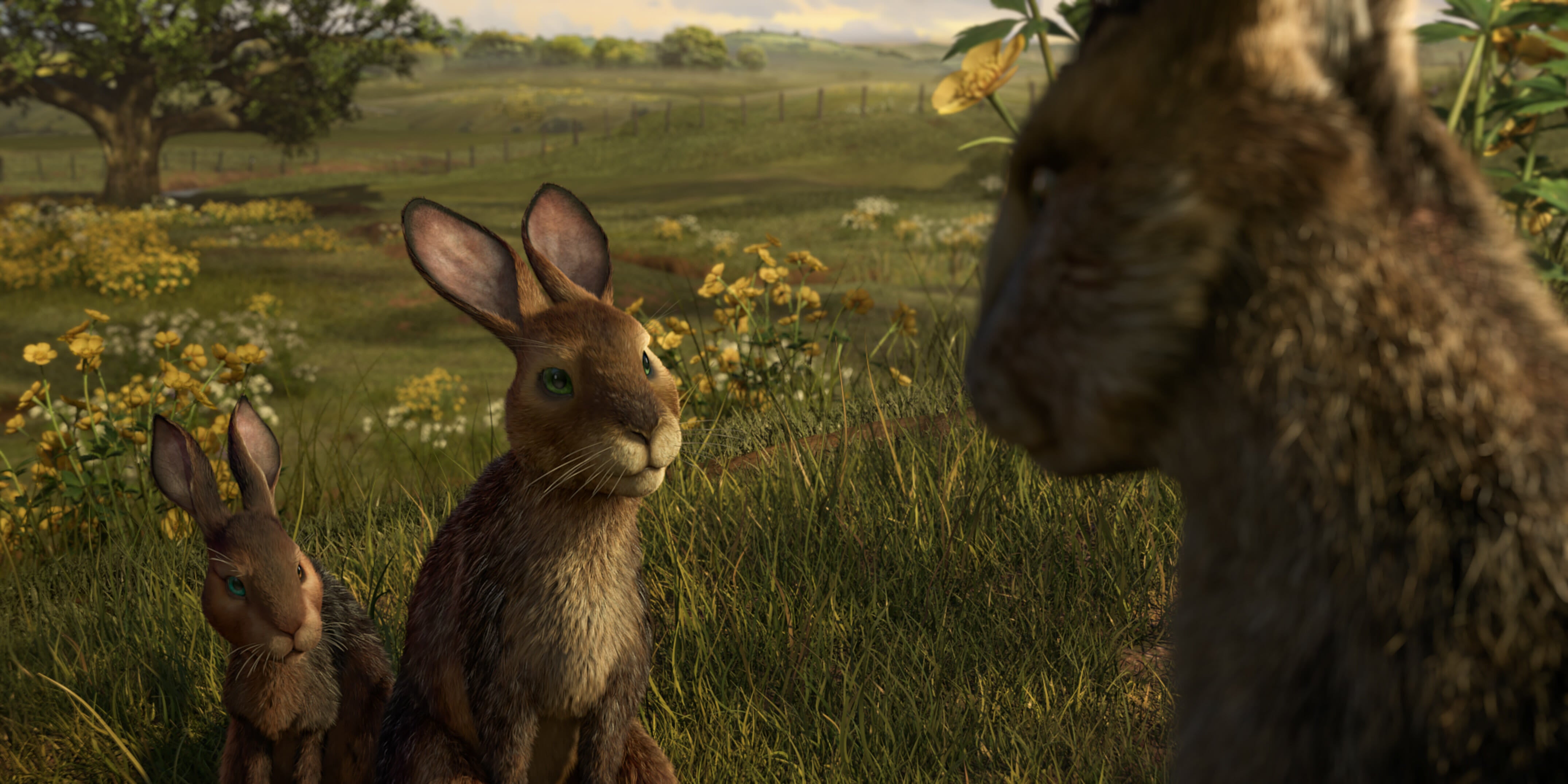 netflix watership down review