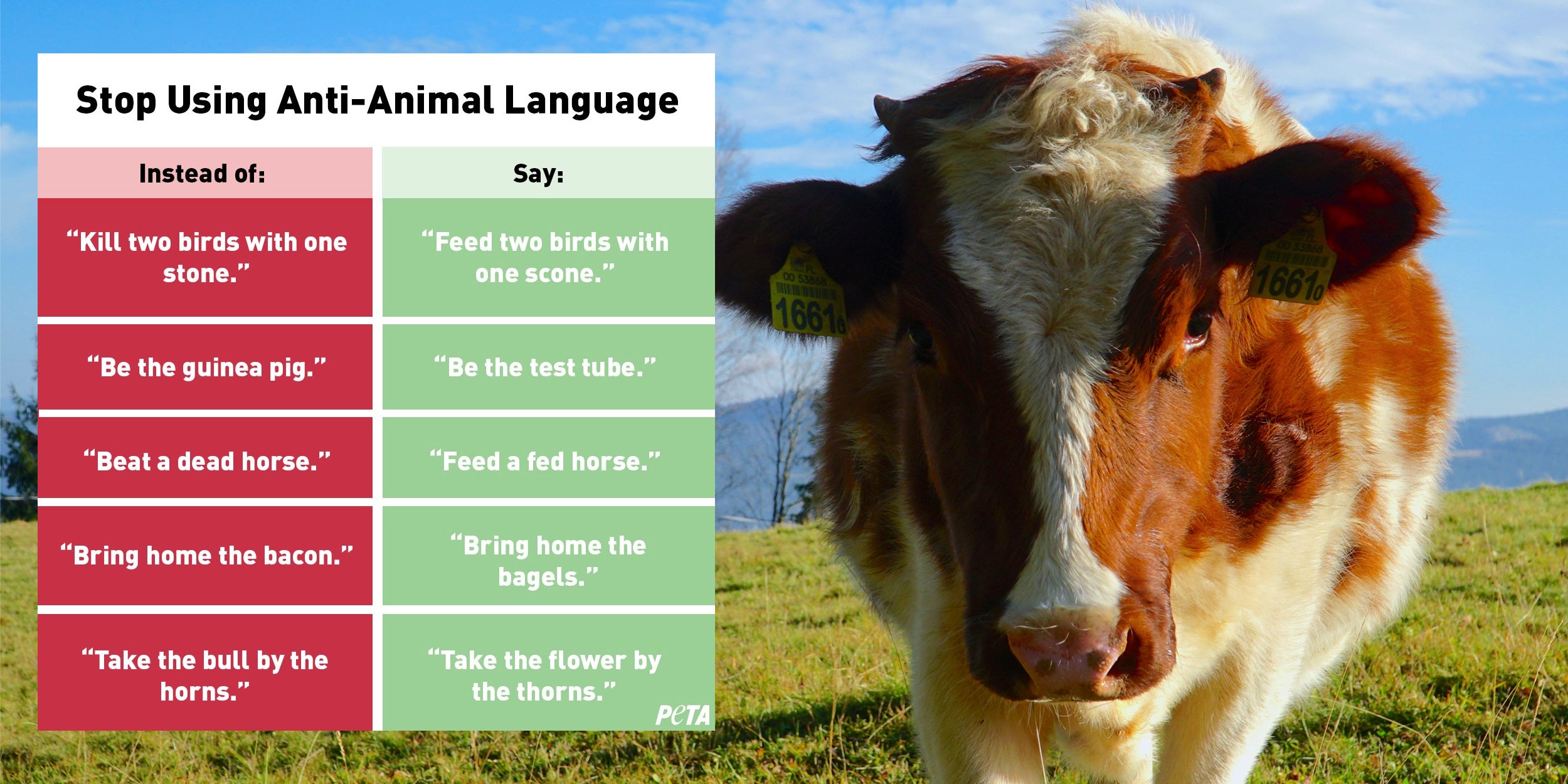 PETA's 'Anti-Animal Language' Chart is Getting Roasted on Twitter PETA's 'Anti-Animal Language' Chart is Getting Roasted on Twitter
