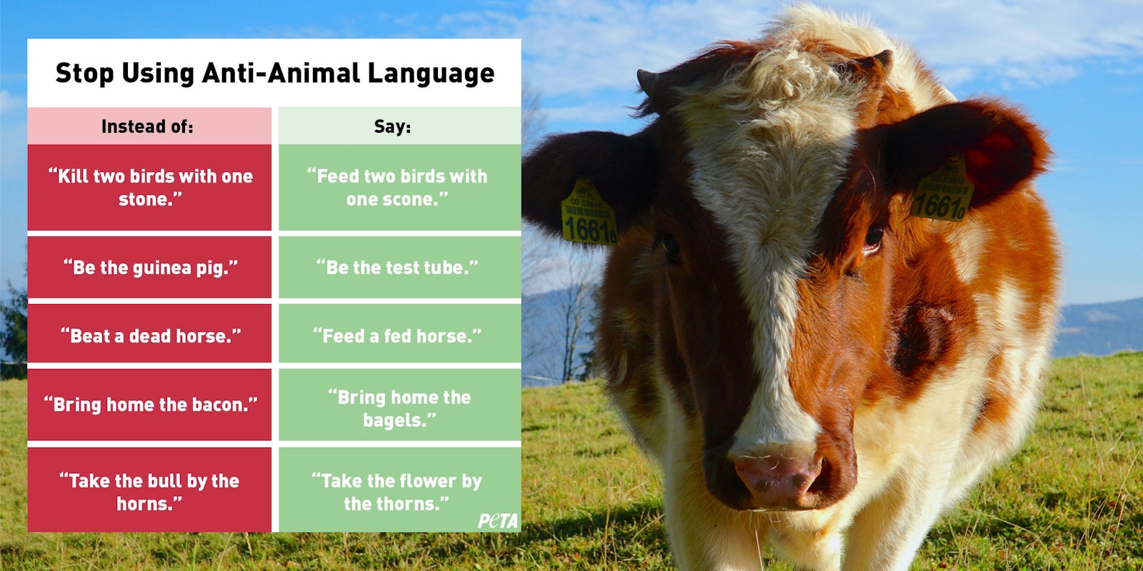 peta anti animal language cow
